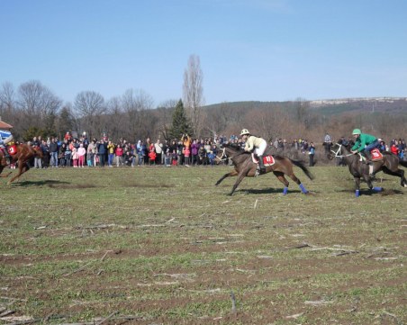 14-годишно момиче в критично състояние, след инцидент с кон