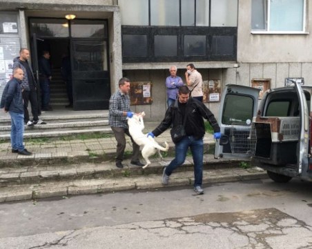 Ножове и сап от брадва са открити в апартамента на двойното убийство в Казанлък