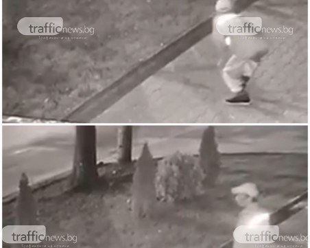 По тъмни доби: Крадец на колело отмъкна декоративни храсти от строителен обект в Пловдив