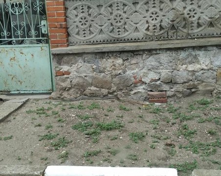 Змии плъзнаха в Пловдивско