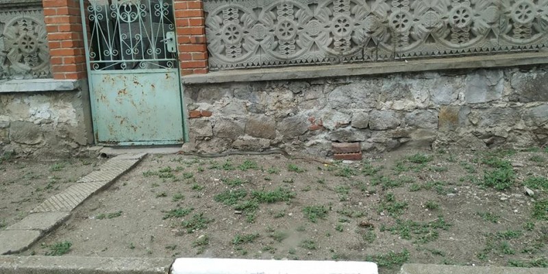 Змии плъзнаха в Пловдивско
