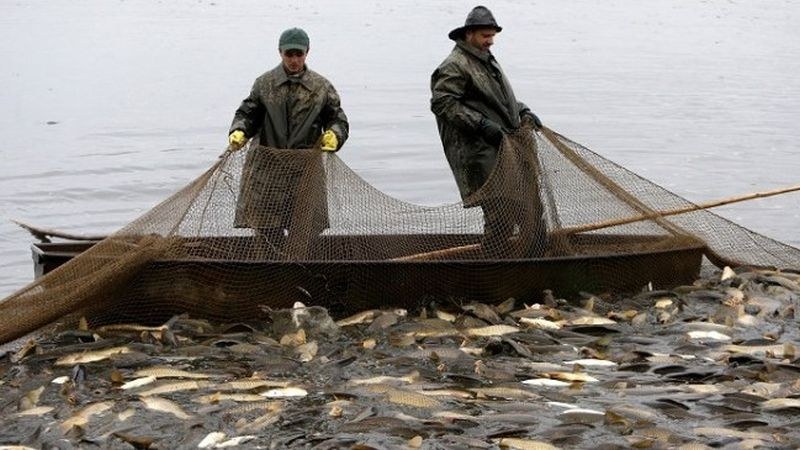 България е първата членка на ЕК с одобрено изменение на Програмата за морско дело и рибарство