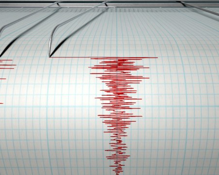 7.4 по Рихтер разтърси Мексико