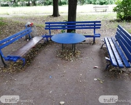 Боклуци и преливащи кошчета в градинка зад пловдивски блок