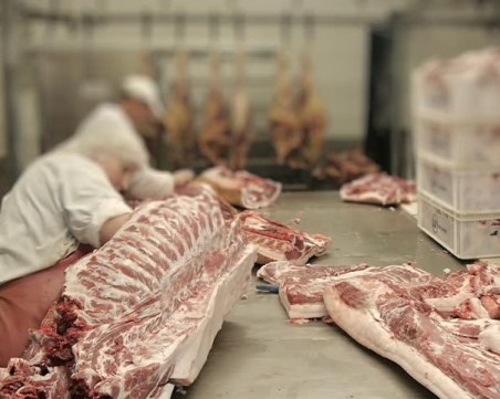 Трима българи се завърнаха от пламналата с Covid-19 кланица в Германия