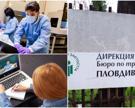 Глад за кадри в Пловдивска област! Кои са секторите, търсещи нови служители през тази седмица?