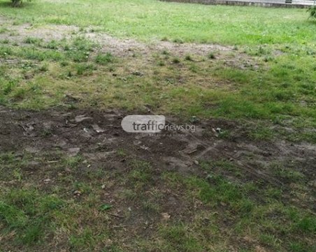 Кал вместо трева в пловдивски парк, местен подава жалби от седмица