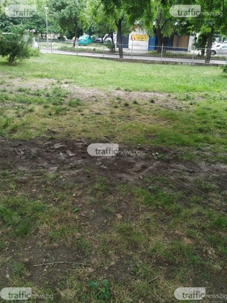 Кал вместо трева в пловдивски парк, местен подава жалби от седмица