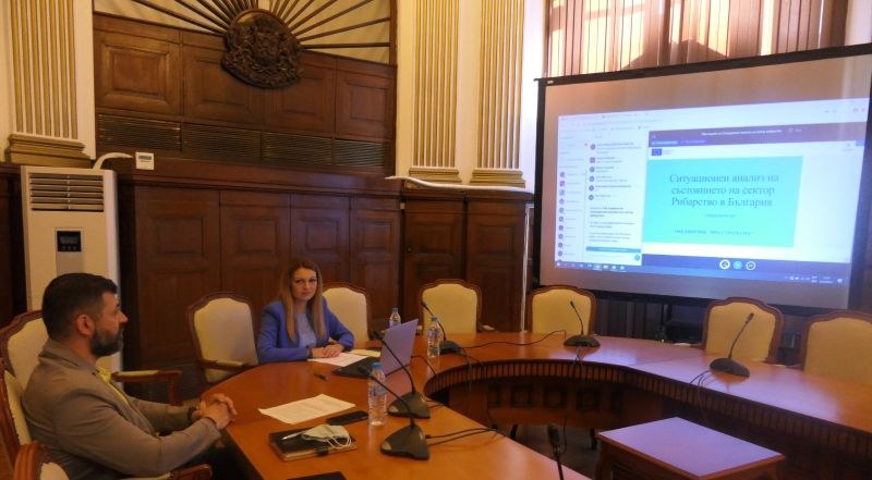 Представиха за обсъждане анализа на сектор