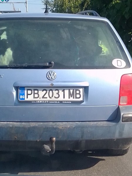 В Пловдив: Теле в багажник прикова погледите на шофьори по Коматевско шосе