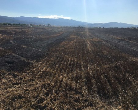 Пожар по време на жътва изпепели 500 декара