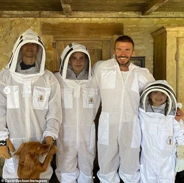 Дейвид Бекъм стана пчелар