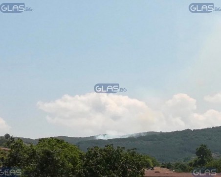 Голям пожар гори над Брестовица