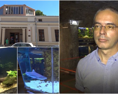 Най-големите морски аквариуми в България ще бъдат скоро в Пловдив