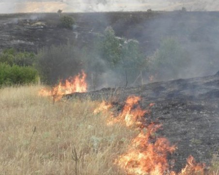 Пожар унищожи 300 декара пшеница край Перущица