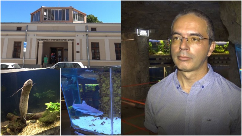 Най-големите морски аквариуми в България ще бъдат скоро в Пловдив