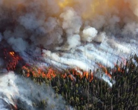 Голям пожар в европейска Турция, евакуират хора
