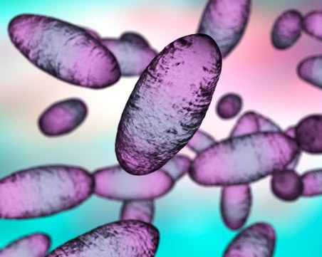 Предупреждение за епидемия от бубонна чума, заради болен в Китай