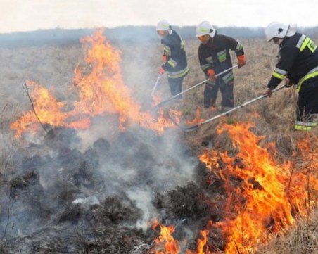 Пазарджиклия драсна клечката на сухи треви, изпепели 50 дка посеви