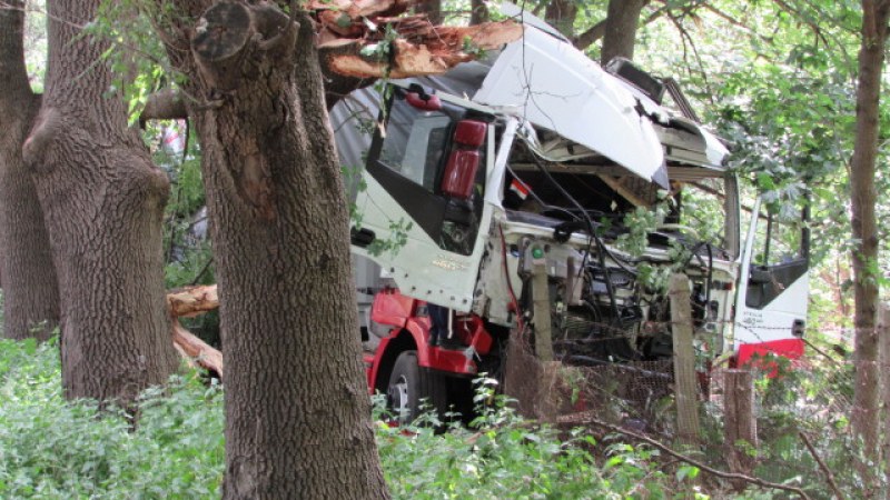 Камион излезе от пътя, изкорени дървета и отнесе ограда
