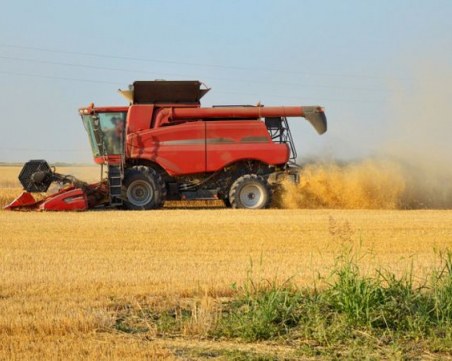 Добивът в житницата на България със 71% по-нисък