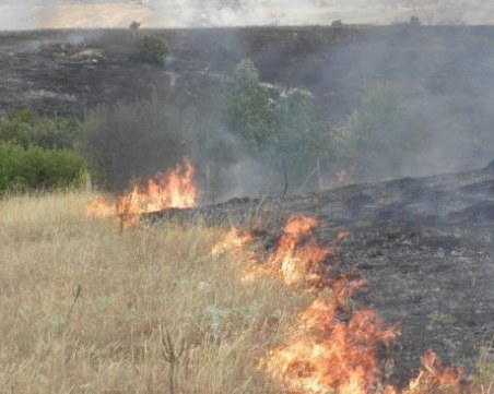Пожар унищожи 100 декара житната култура край Хисаря