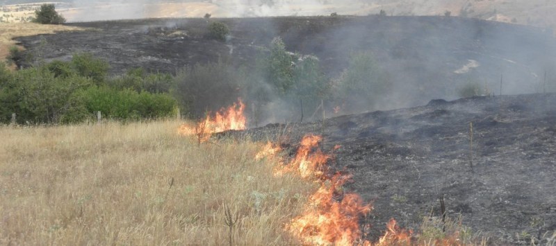 Пожар унищожи 100 декара житната култура край Хисаря