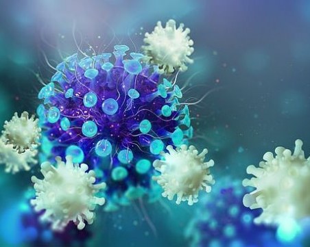 Може ли имунитетът срещу COVID-19 да продължи 17 години?