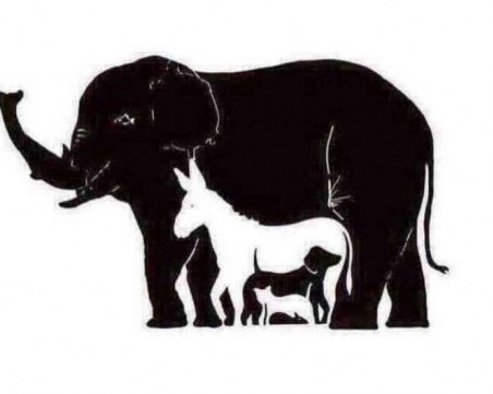 Ами сега?! Колко животни виждате на снимката?