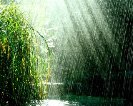 Дъжд до обяд, следобед - до 30 градуса