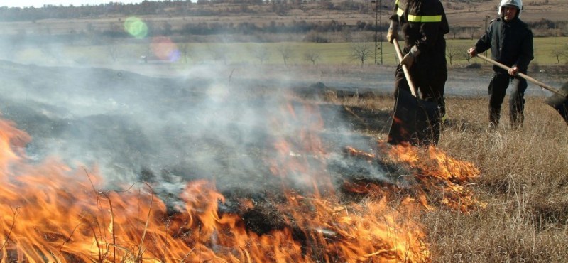 Пожар край пловдивско село, гъст дим покри района
