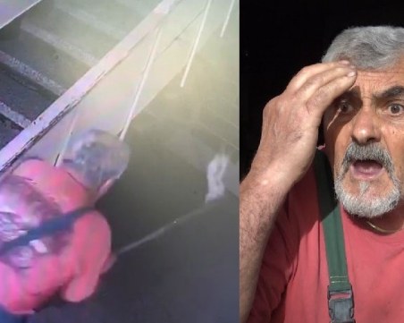 Мъж уби зверски коте в Кършияка, блъска му главата в стълби