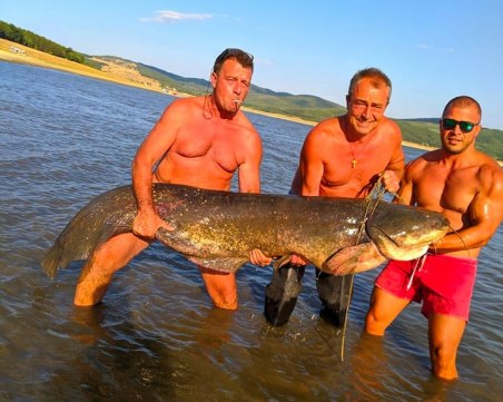 Сом гигант уловиха в язовир 