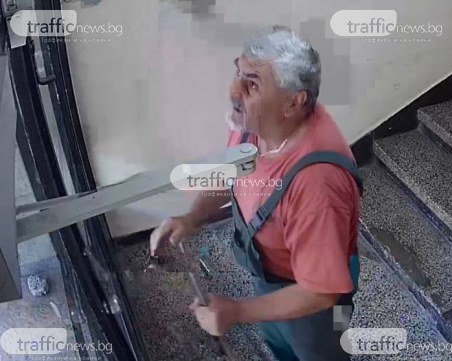 Задържаха убиеца на котето, отведоха го с патрулка за разпит