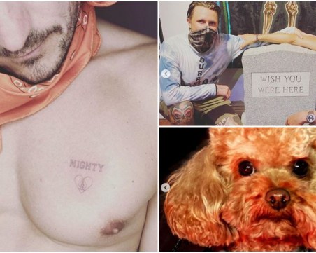 Орландо Блум обяви кучето си за починало, направи си татуировка на сърцето