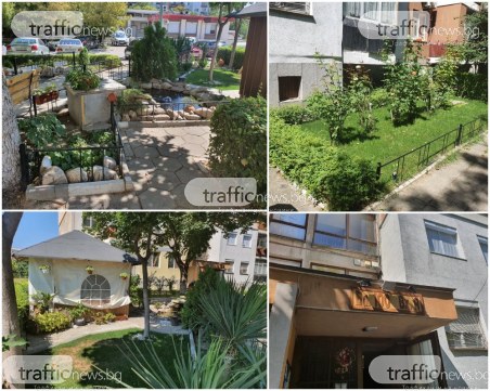 За чудо и приказ: Пловдивчани създадоха малък оазис в Тракия