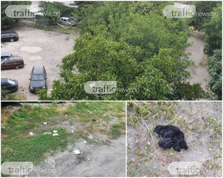 Превърнаха задблоково пространство в бардак, салфетки и бикини се въргалят в тревите