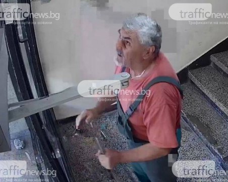 Психиатър за убиеца на котето: Тази агресия утре ще бъде насочена към хора