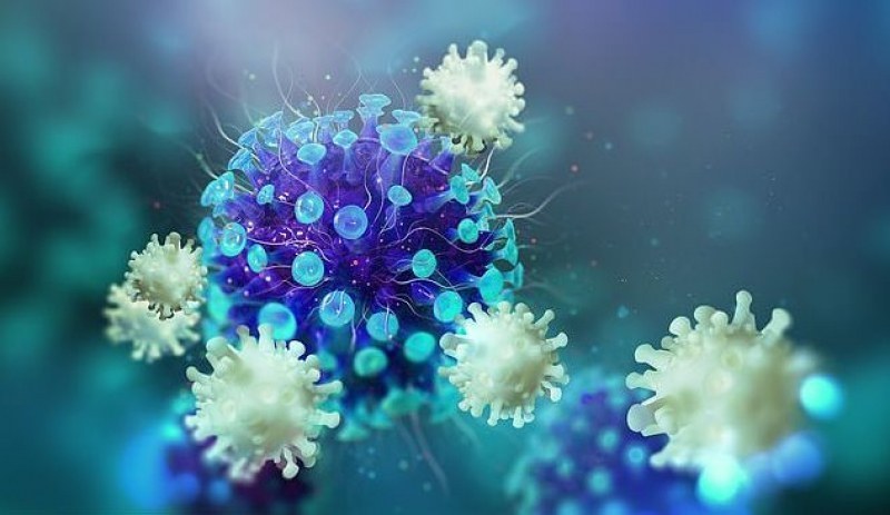 Разкриха защо коронавирусът остава скрит за организма
