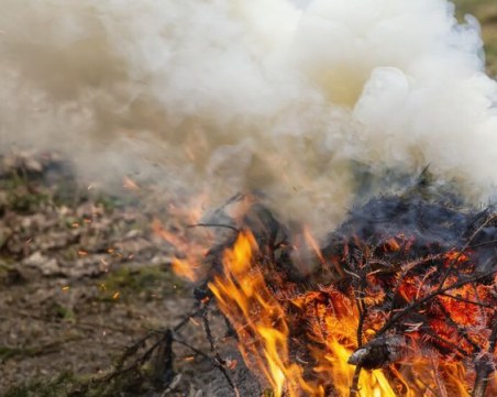 Голям пожар гори до тополовградско село