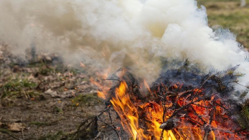 Голям пожар гори до тополовградско село