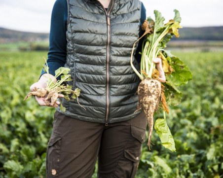 500 под карантина в германска ферма, има и българи