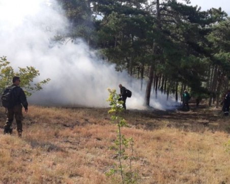 Големия пожар в старозагорско все още не е овладян, но е локализиран