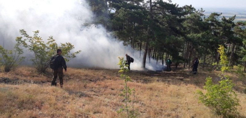 Големия пожар в старозагорско все още не е овладян, но е локализиран
