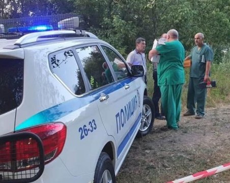 29 крави са умрели, след като пили вода от канал на Марица