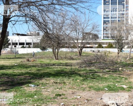 Байрям Солак с втори акт за незаконната сеч, съдът го отмени