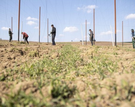 Няма заразени българи във фермата в Бавария