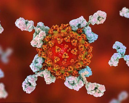 Стадният имунитет е мираж - поредно доказателство в Англия