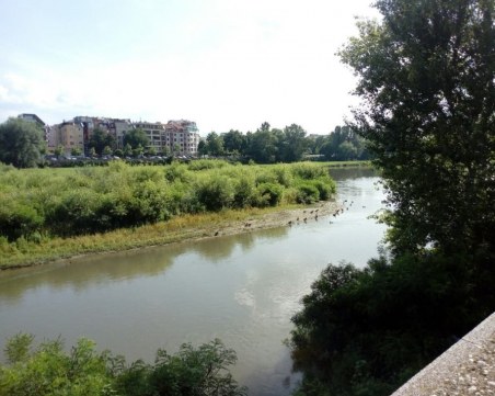 Взеха проби от отровените крави, пили вода от Марица