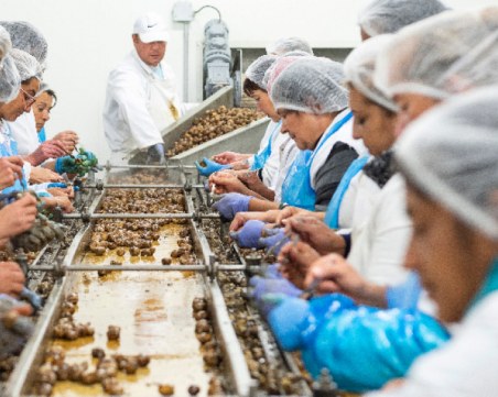 Затвориха предприятие в Павел Баня заради случай на коронавирус